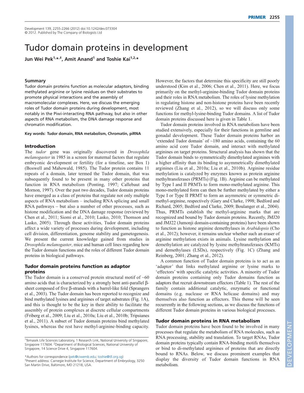 Tudor Domain Proteins in Development Jun Wei Pek1,*,‡, Amit Anand1 and Toshie Kai1,2,*