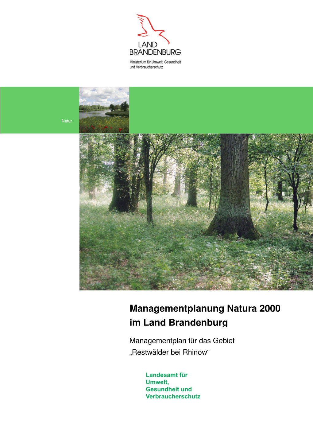 Managementplanung Natura 2000 Im Land Brandenburg