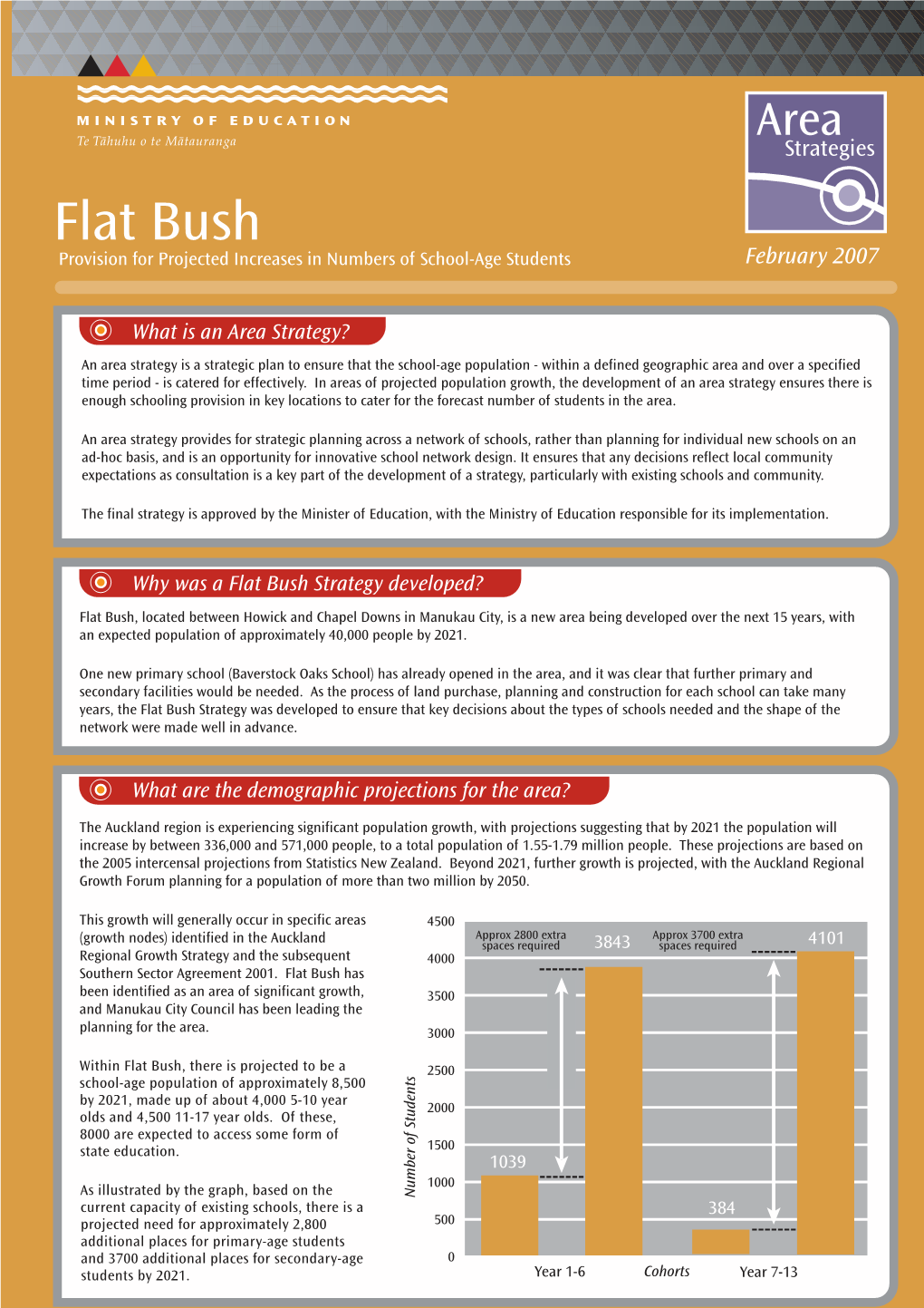 Flat Bush Area Strategy