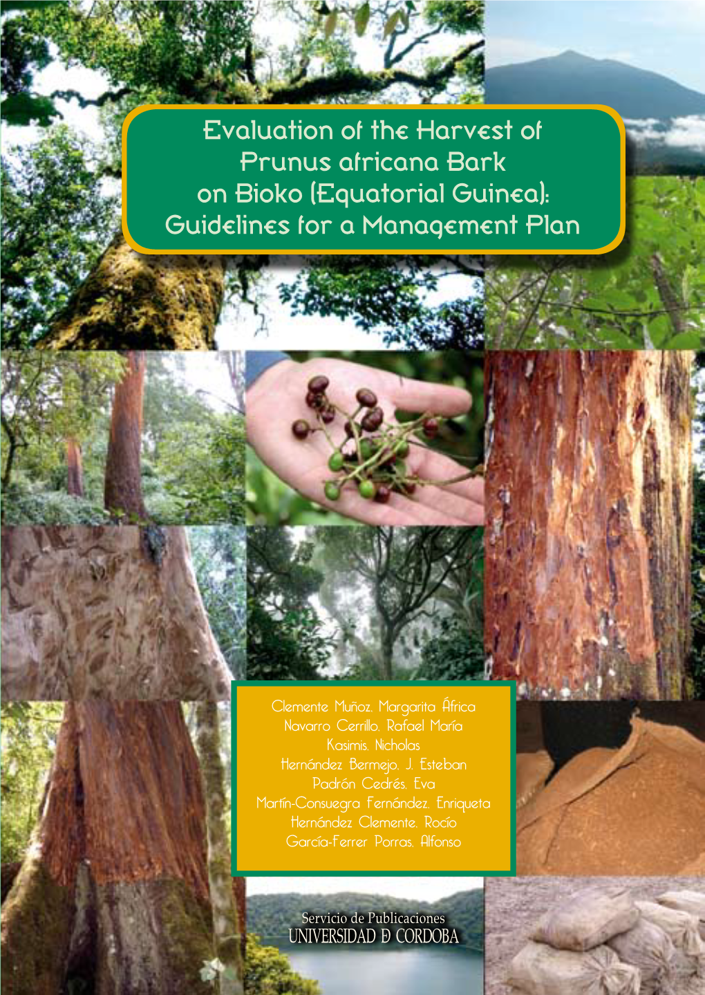 Evaluation of the Harvest of Prunus Africana Bark on Bioko (Equatorial Guinea): Guidelines for a Management Plan