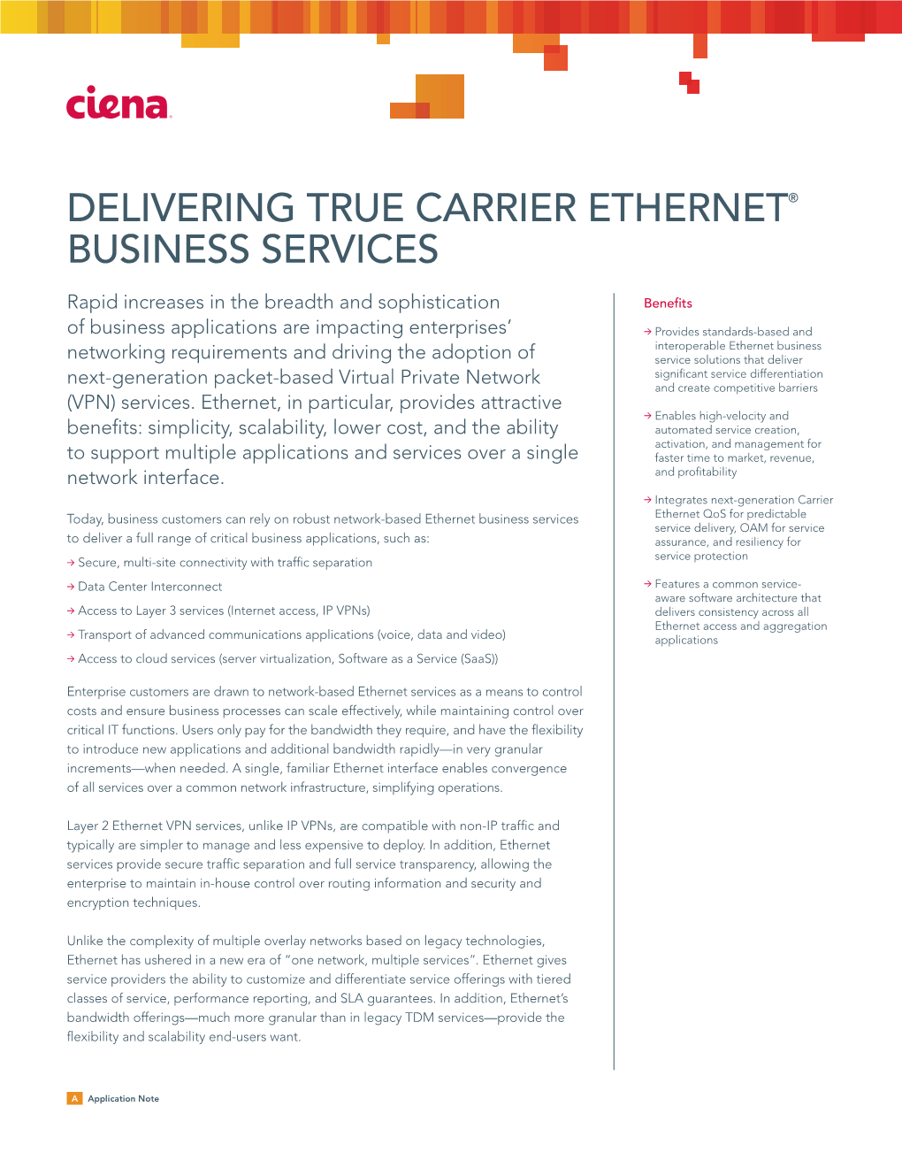 Delivering True Carrier Ethernet Business Services