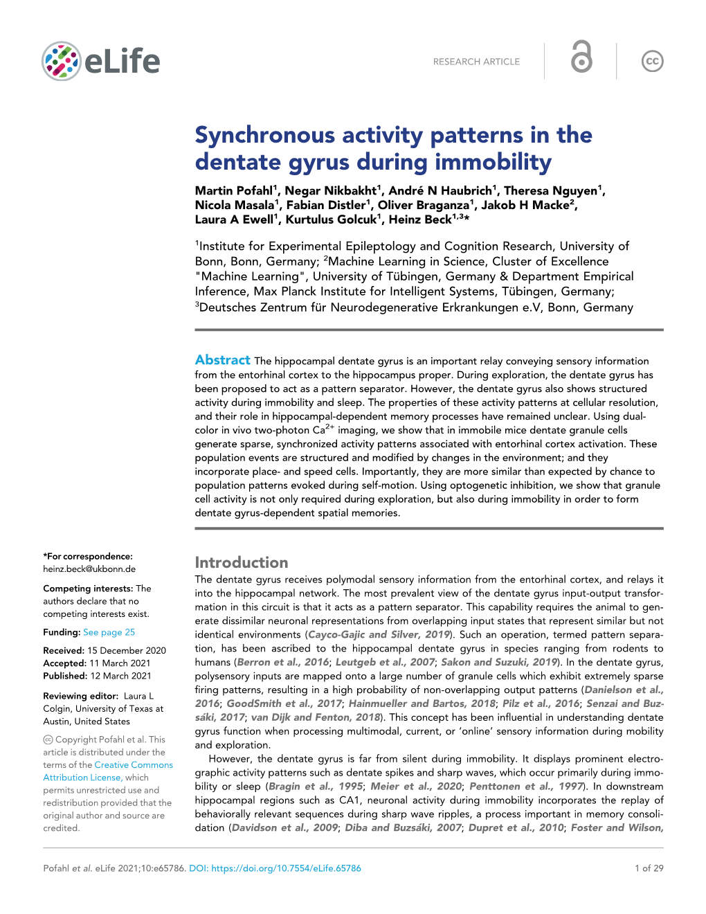 Synchronous Activity Patterns in the Dentate Gyrus During Immobility