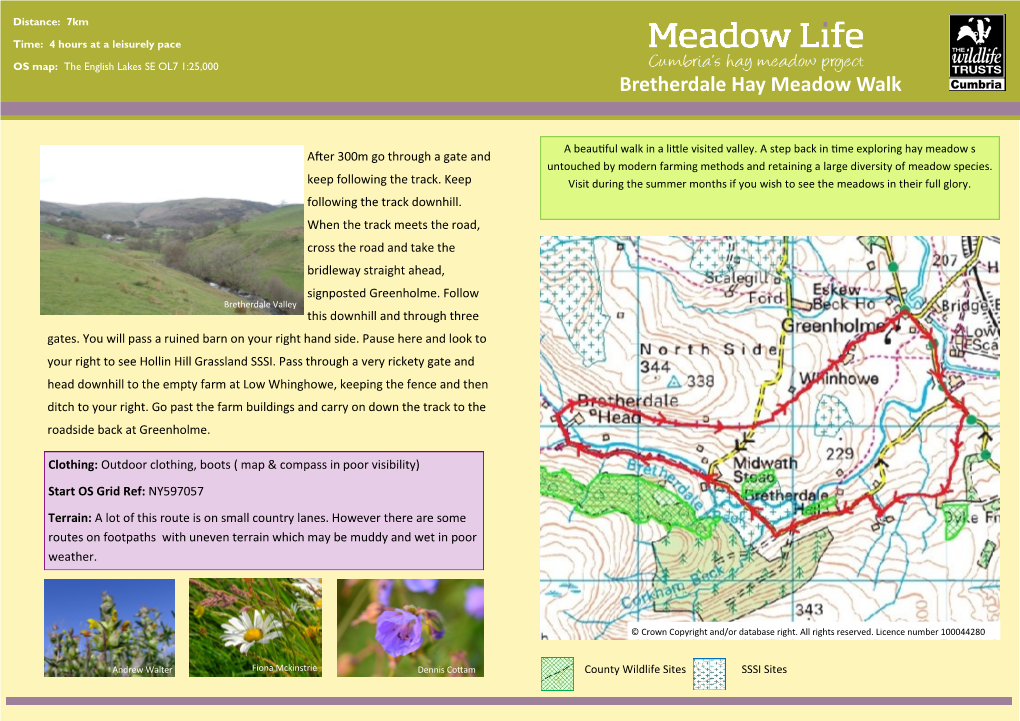 Bretherdale Hay Meadow Walk