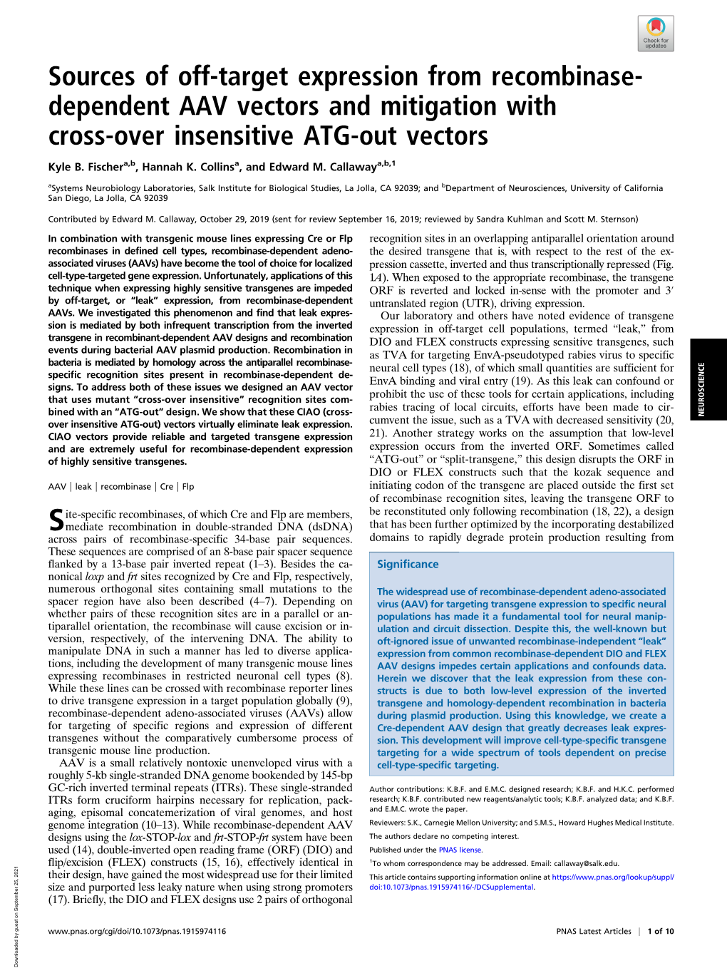 Sources of Off-Target Expression from Recombinase- Dependent AAV Vectors and Mitigation with Cross-Over Insensitive ATG-Out Vectors