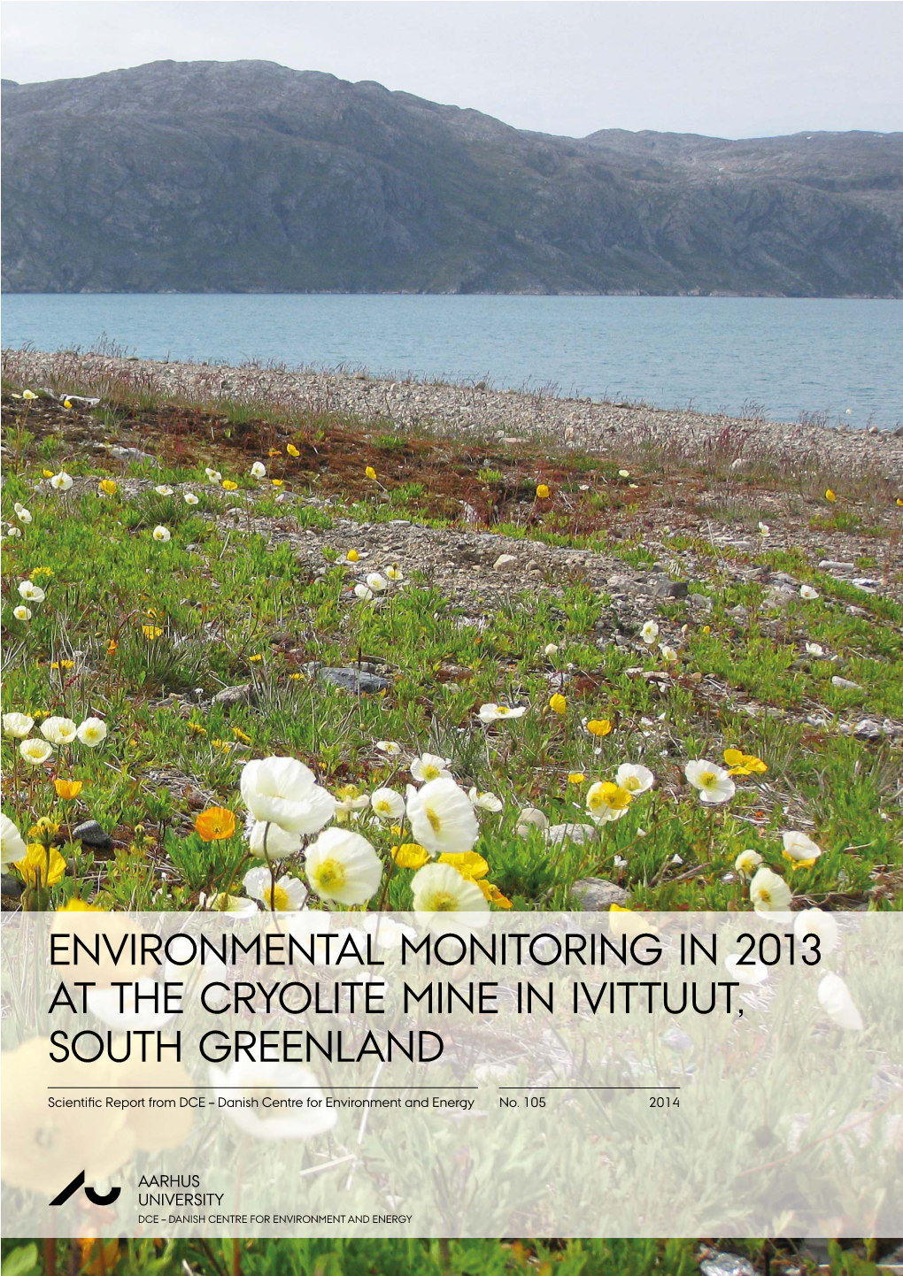 Environmental Monitoring in 2013 at the Cryolite Mine in Ivittuut, South Greenland