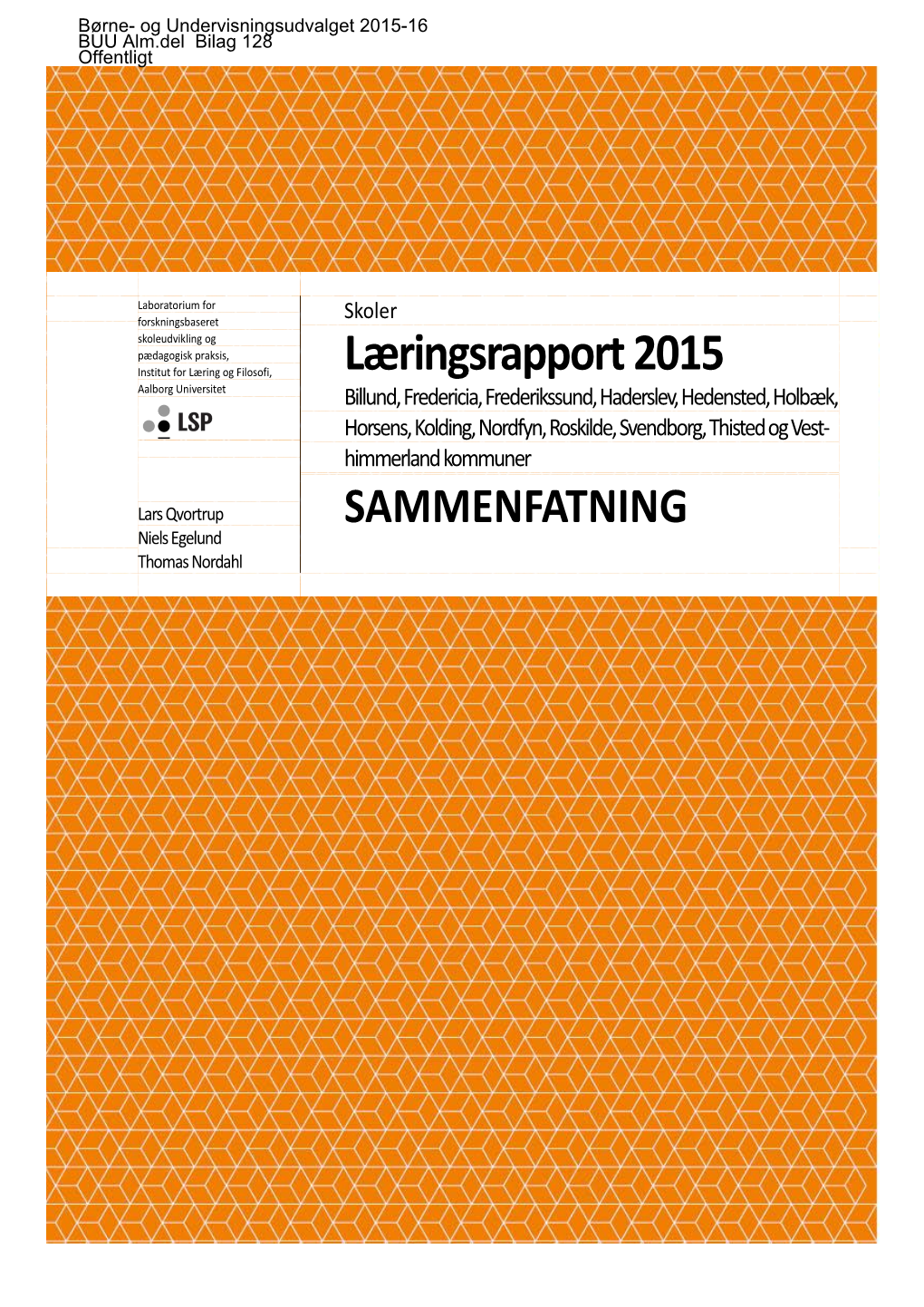 Læringsrapport 2015