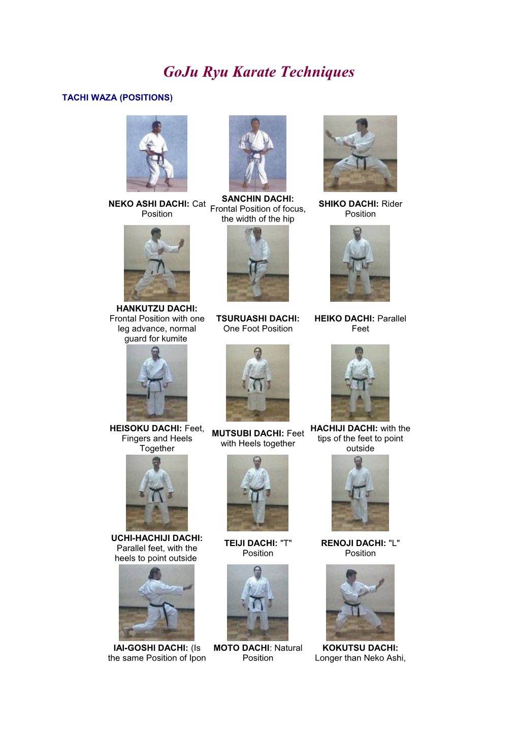 Goju Ryu Karate Techniques
