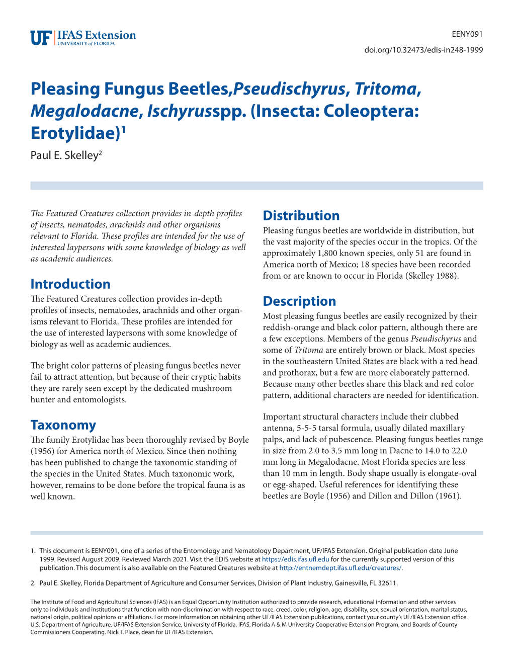 Pleasing Fungus Beetles,Pseudischyrus, Tritoma, Megalodacne, Ischyrusspp