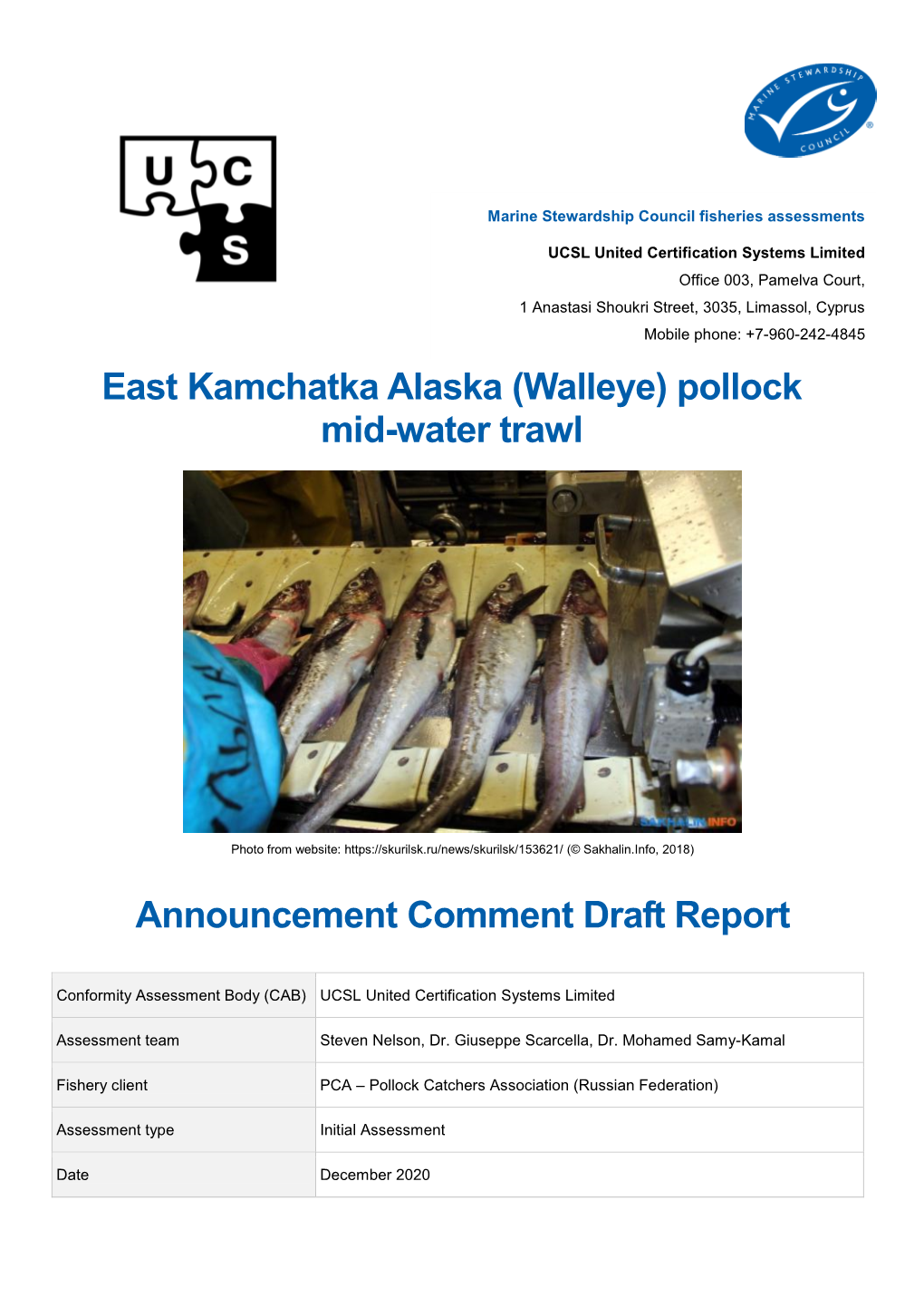 East Kamchatka Alaska (Walleye) Pollockwebsite: Mid-Water Trawl