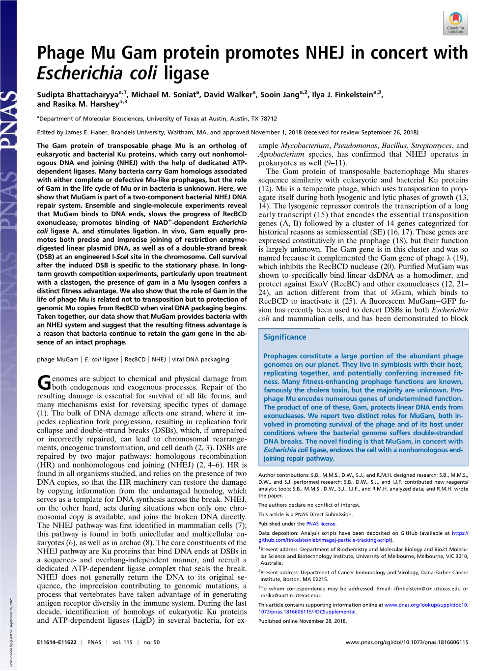 Phage Mu Gam Protein Promotes NHEJ in Concert with Escherichia Coli Ligase