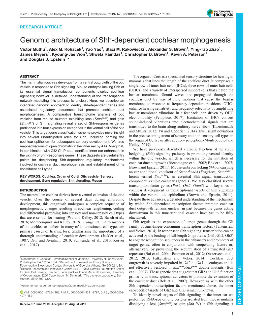 Genomic Architecture of Shh-Dependent Cochlear Morphogenesis Victor Muthu1, Alex M