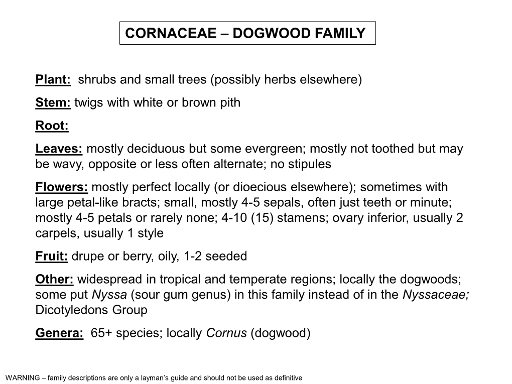 Cornaceae – Dogwood Family