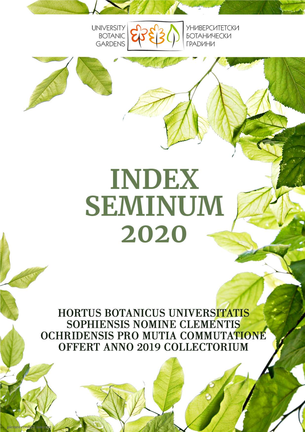 Download Index Seminum 2020