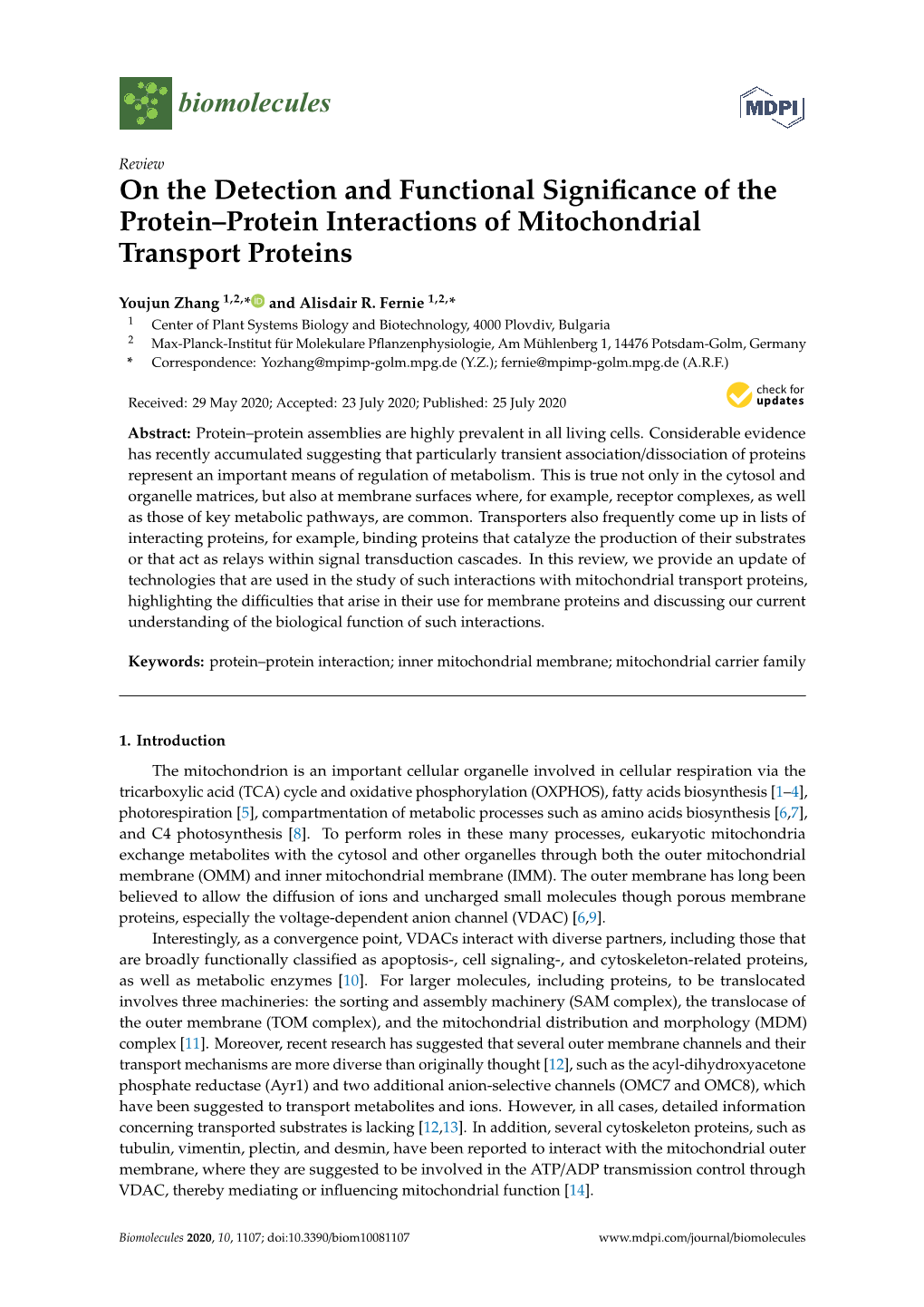 On the Detection and Functional Significance of the Protein–Protein Interactions of Mitochondrial Transport Proteins