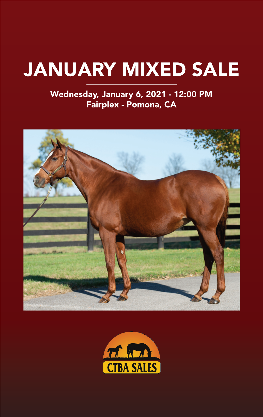 JANUARY MIXED SALE Wednesday, January 6, 2021 - 12:00 PM Fairplex - Pomona, CA NEW for 2021 PHANTOM BOSS