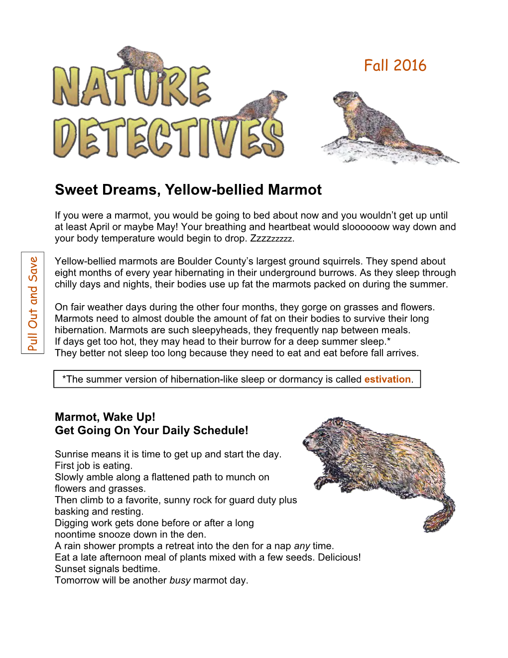 Nature Detectives: Sweet Dreams, Yellow-Bellied Marmot