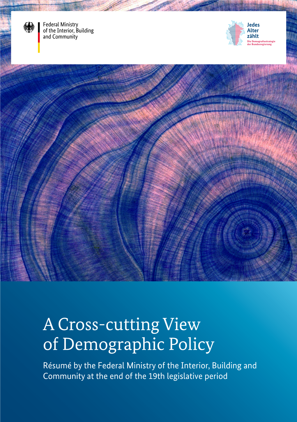A Cross-Cutting View of Demographic Policy Type