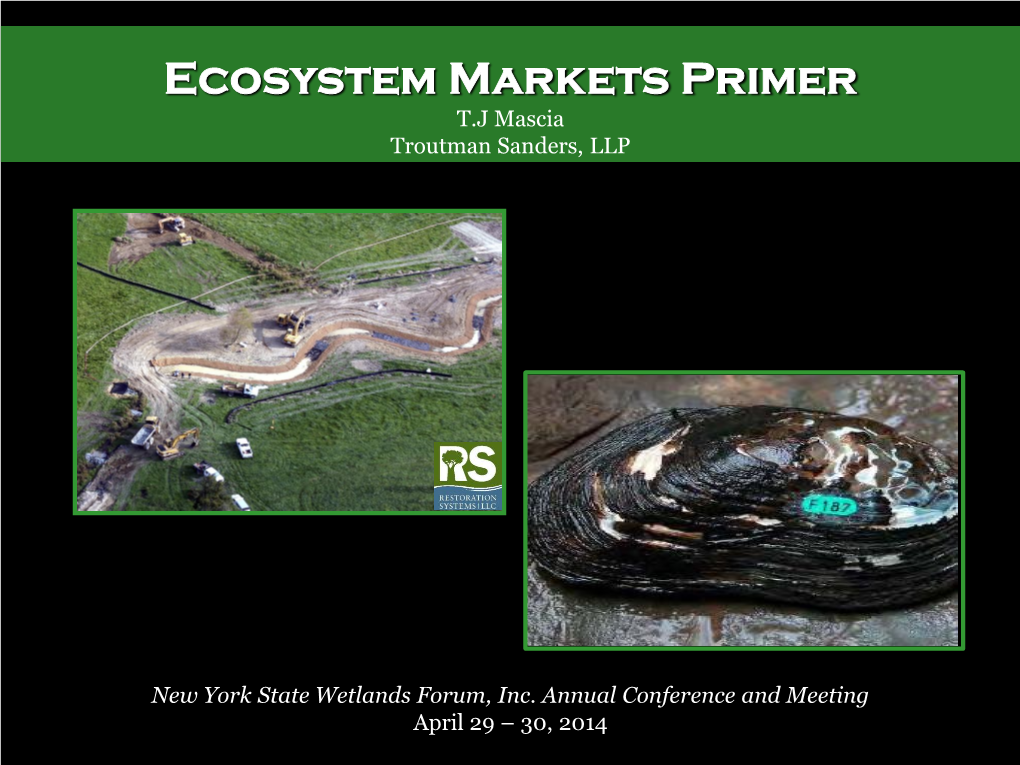 Ecosystem Markets Primer T.J Mascia Troutman Sanders, LLP