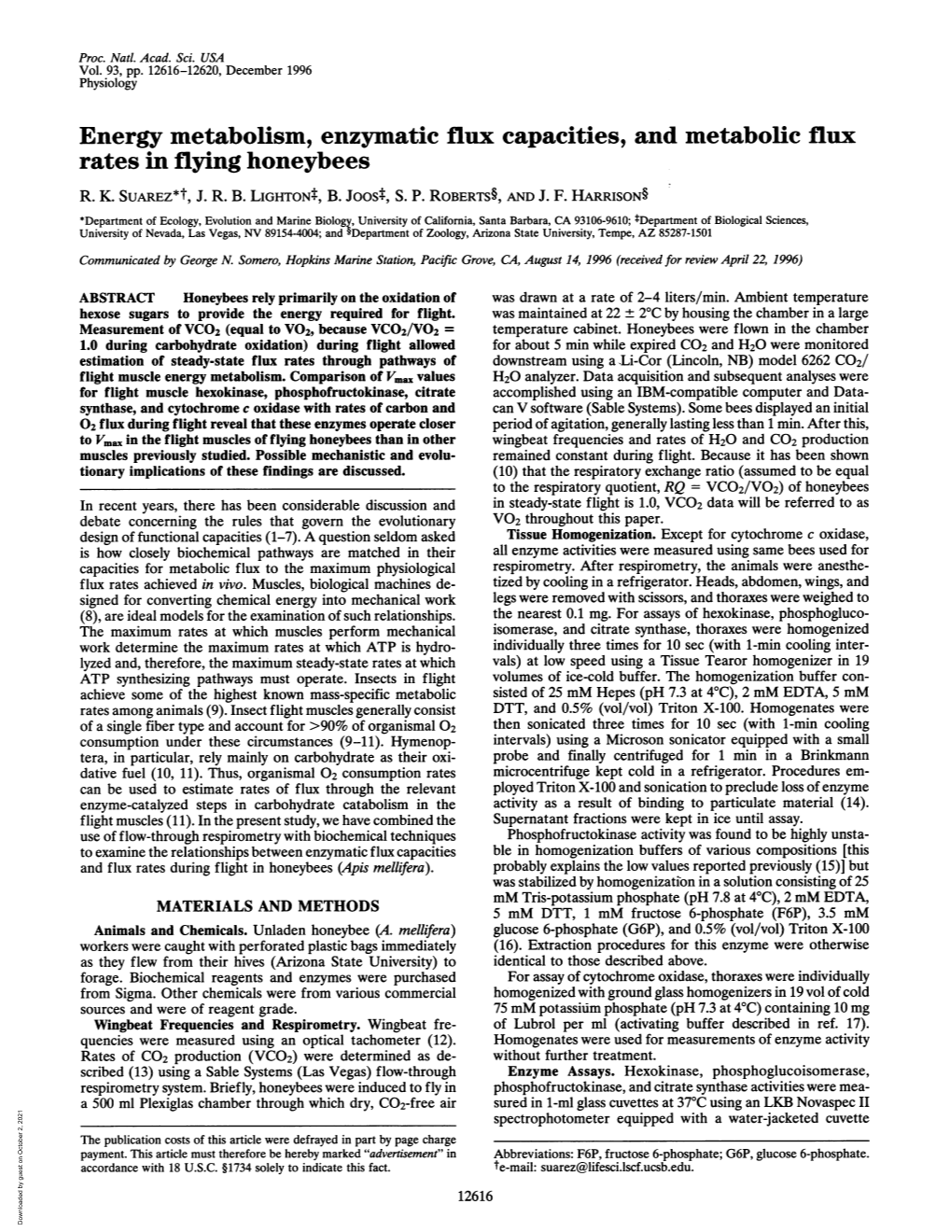 Energy Metabolism, Enzymatic Flux Capacities, and Metabolic Flux Rates in Flying Honeybees R