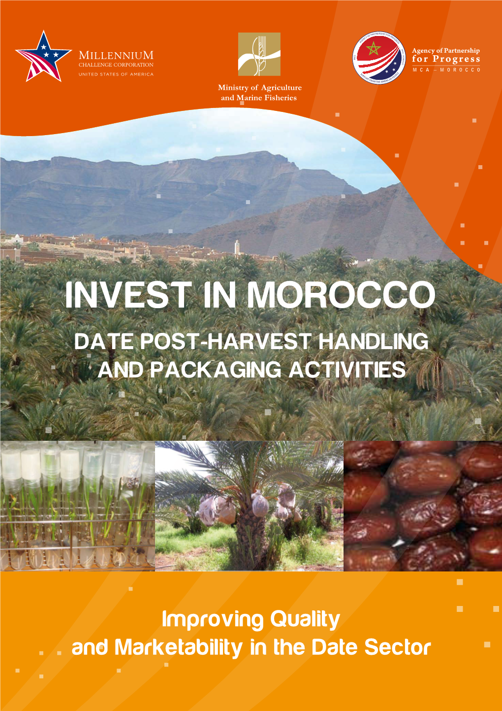 Invest in Morocco Date Post-Harvest Handling and Packaging Activities