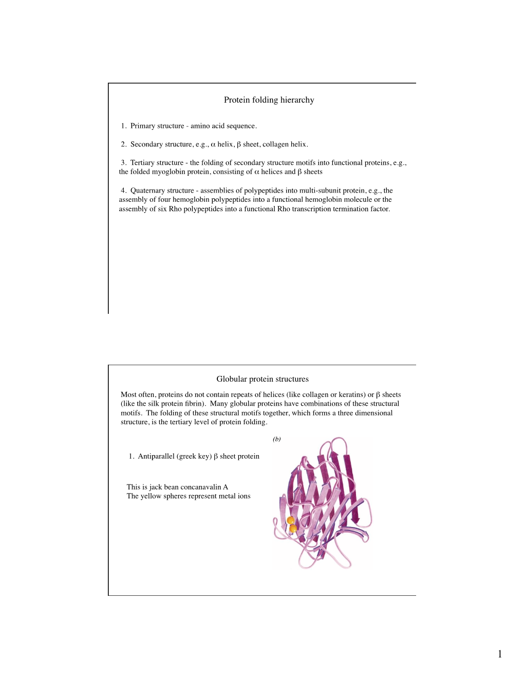 Protein Folding Hierarchy Globular Protein Structures