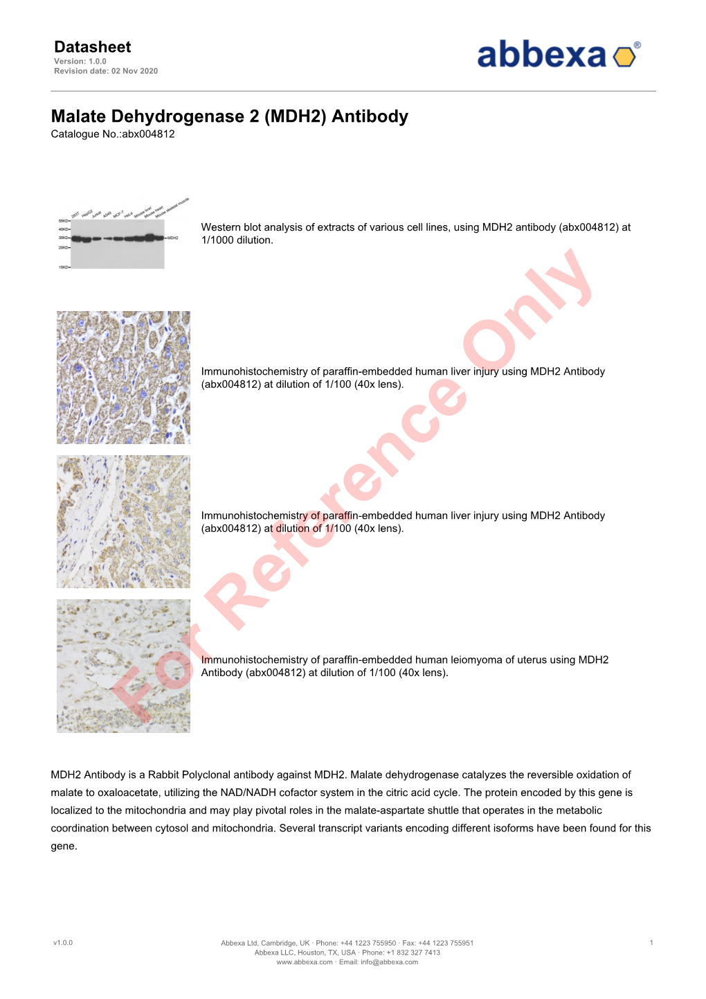 Malate Dehydrogenase 2 (MDH2) Antibody Catalogue No.:Abx004812
