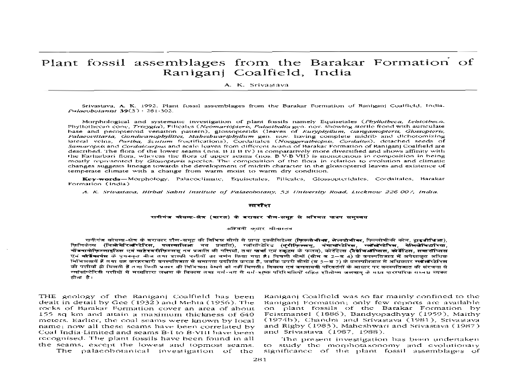 Plant Fossil Assemblages Raniganj from the Coalfield, Barakar India