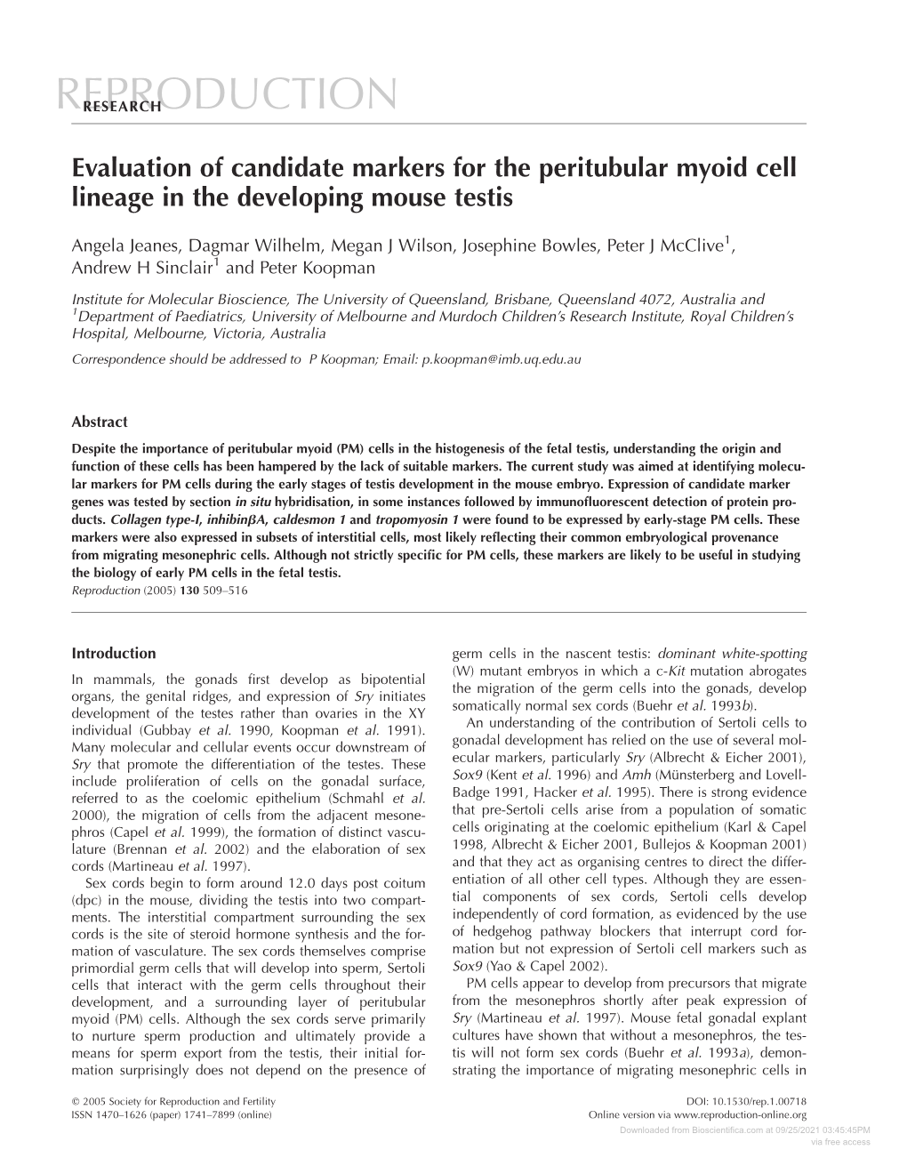 Evaluation of Candidate Markers for the Peritubular Myoid Cell Lineage in the Developing Mouse Testis