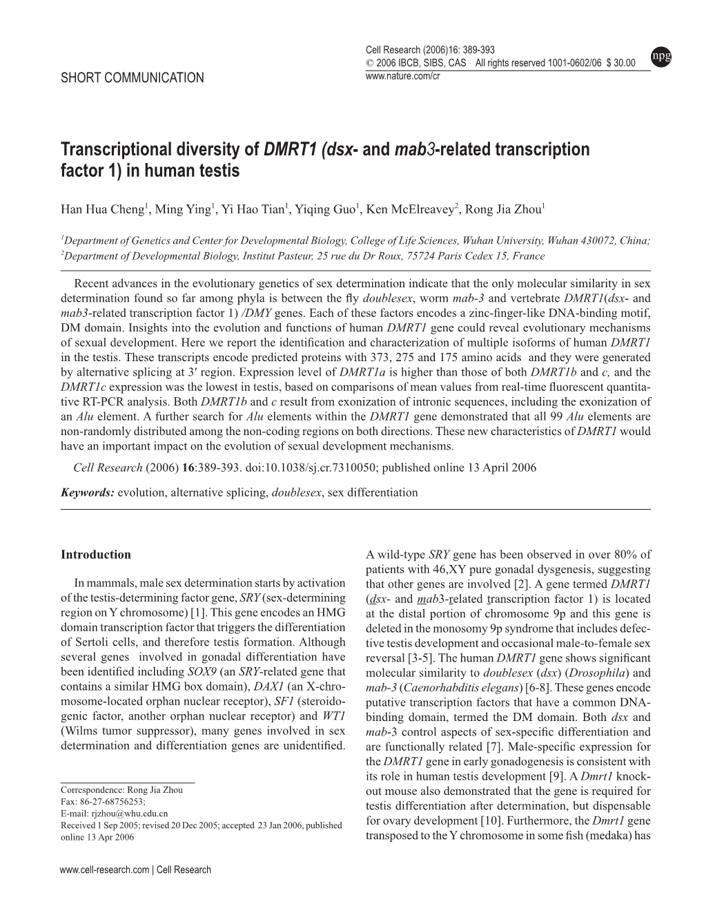 (Dsx- and Mab3-Related Transcription Factor 1) in Human Testis