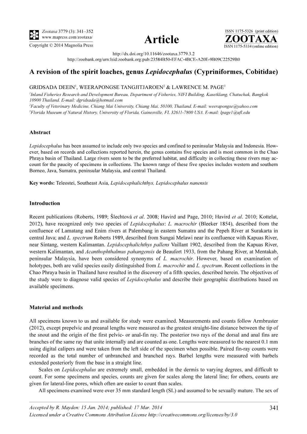 A Revision of the Spirit Loaches, Genus Lepidocephalus (Cypriniformes, Cobitidae)