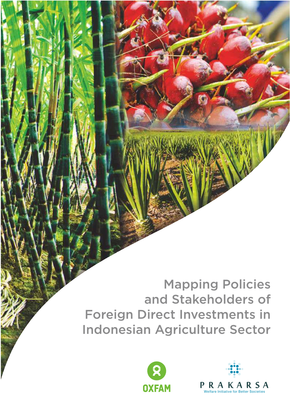 Mapping Policies and Stakeholders of Foreign Direct Investments In