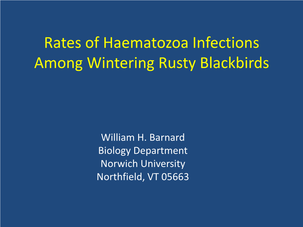 Rates of Haematozoa Infections Among Breeding and Wintering Rusty Blackbirds