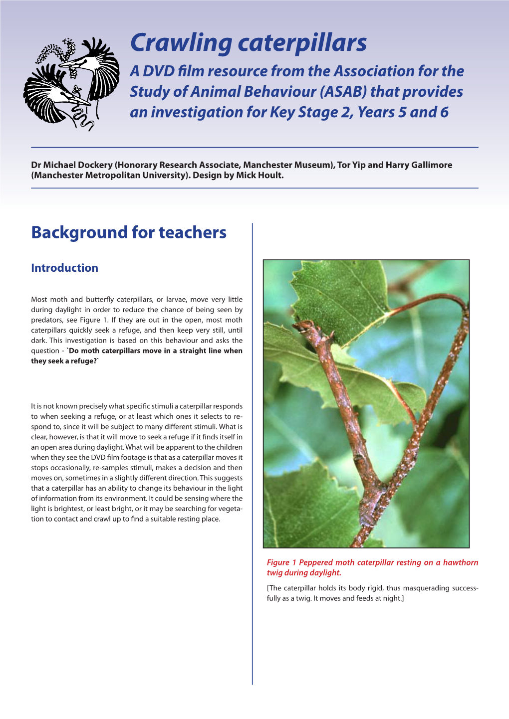 Crawling Caterpillars a DVD Film Resource from the Association for the Study of Animal Behaviour (ASAB) That Provides an Investigation for Key Stage 2, Years 5 and 6