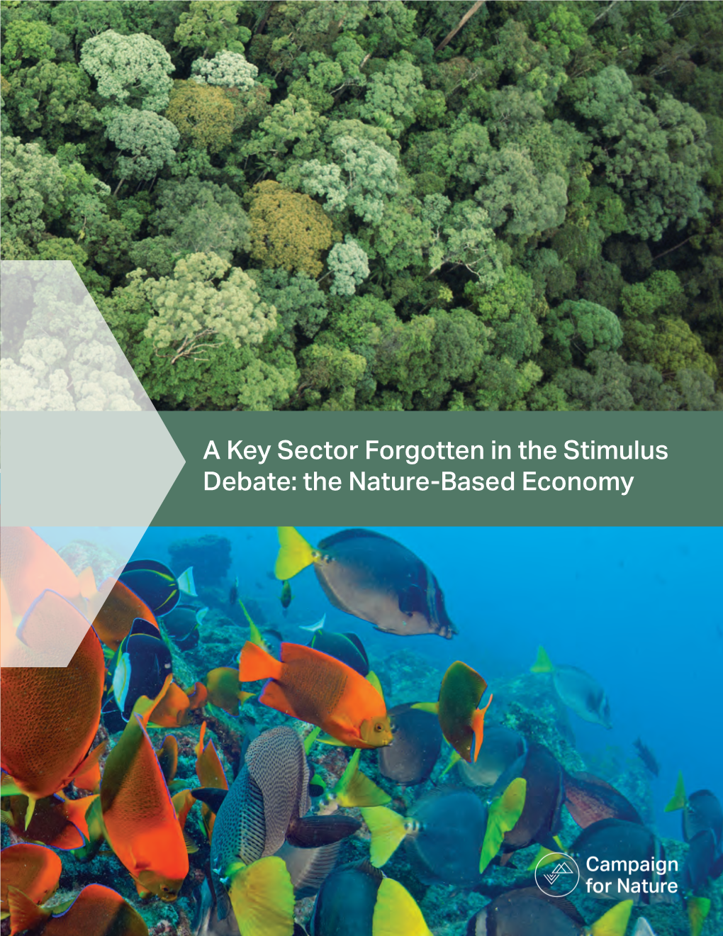 A Key Sector Forgotten in the Stimulus Debate: the Nature-Based Economy TABLE of CONTENTS