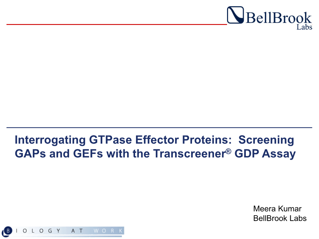 Interrogating Gtpase Effector Proteins: Screening Gaps and Gefs with the Transcreener® GDP Assay