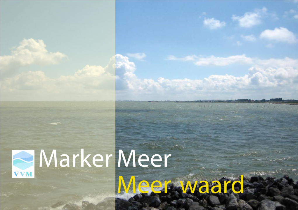 Markermeer Meer Waard