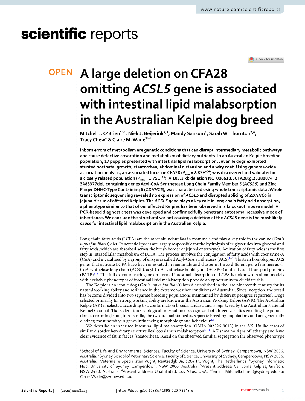 A Large Deletion on CFA28 Omitting ACSL5 Gene Is Associated with Intestinal Lipid Malabsorption in the Australian Kelpie Dog Breed Mitchell J