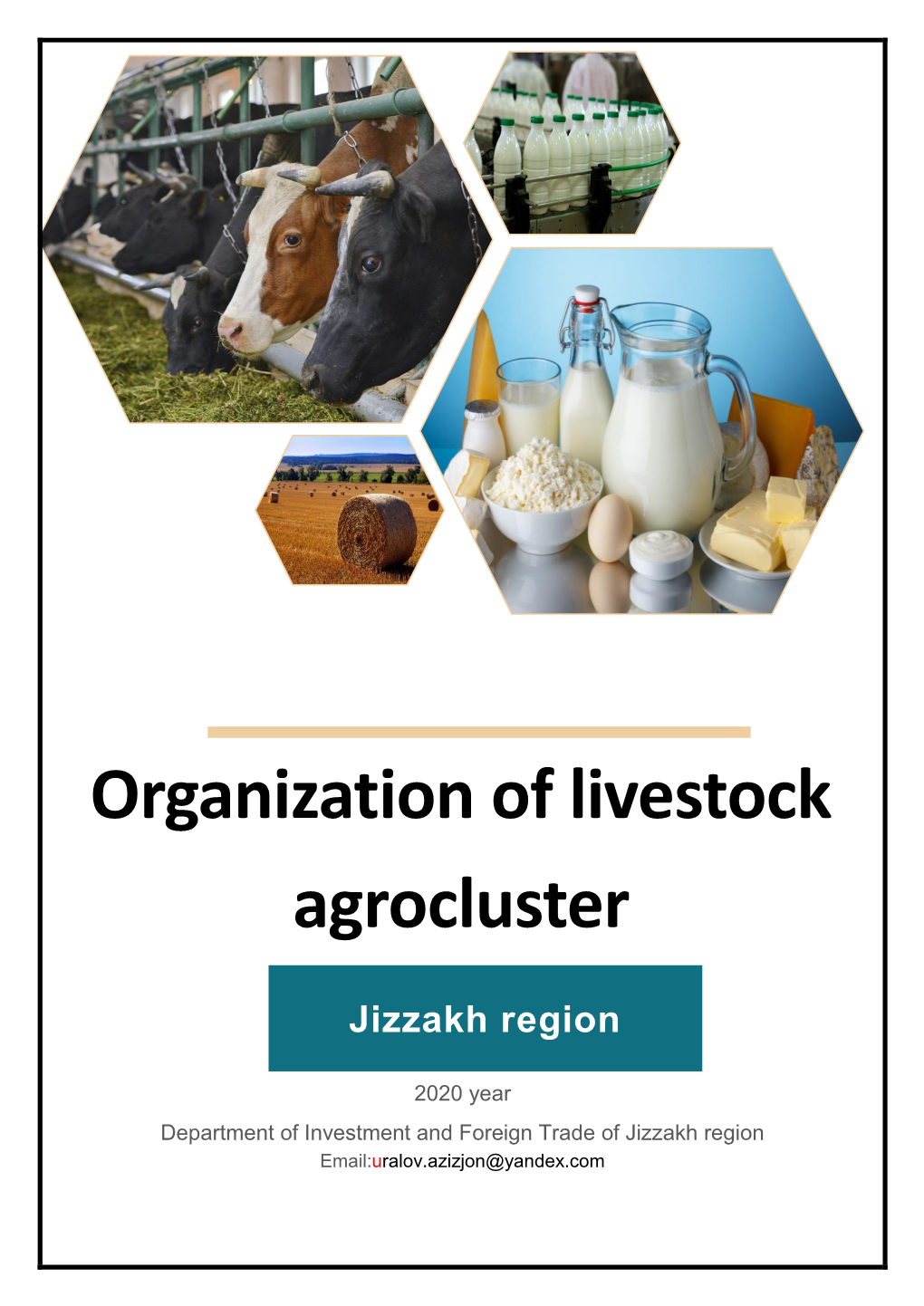 Organization of Livestock Agrocluster