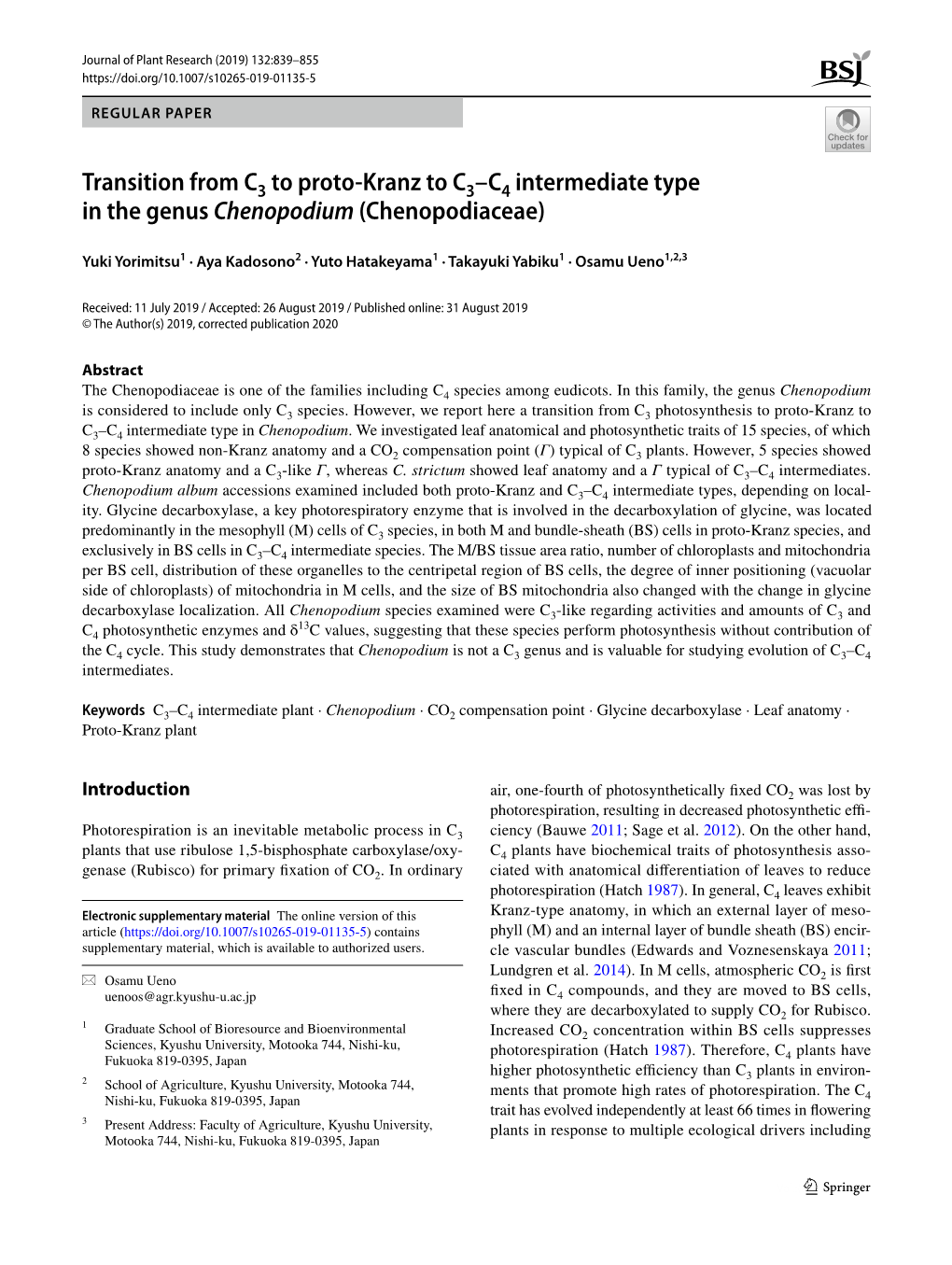 Transition from C to Proto‑Kranz to C –C Intermediate Type in the Genus