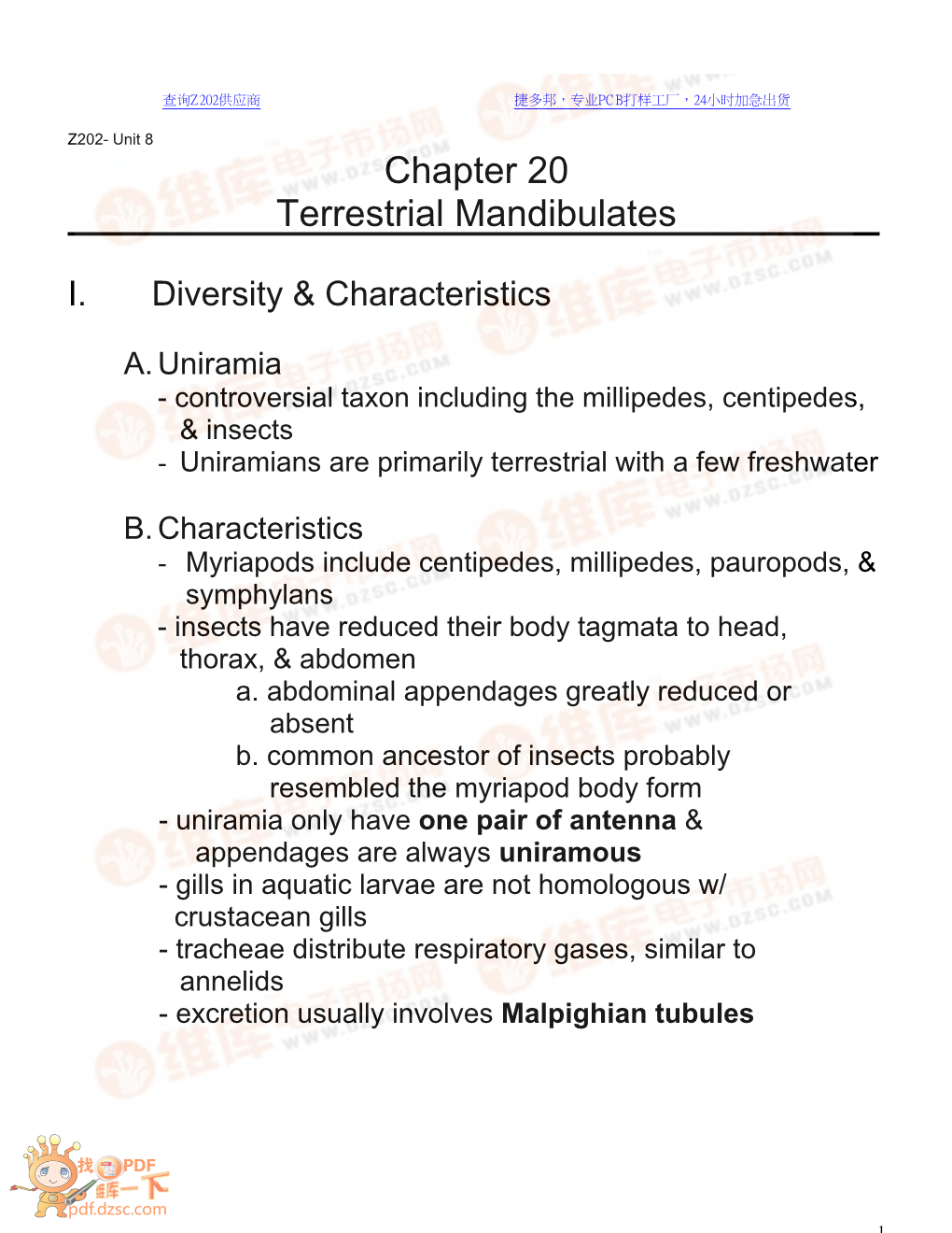 Chapter 20 Terrestrial Mandibulates