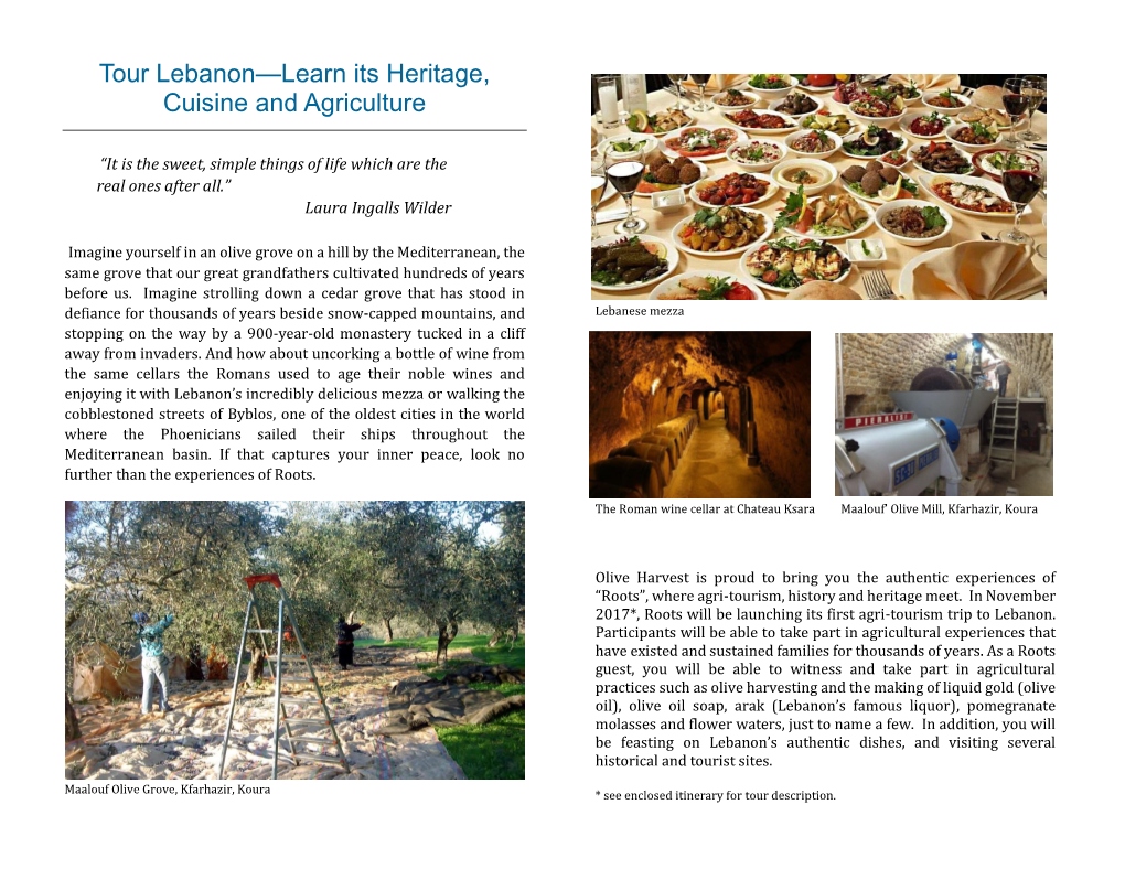 Tour Lebanon—Learn Its Heritage, Cuisine and Agriculture