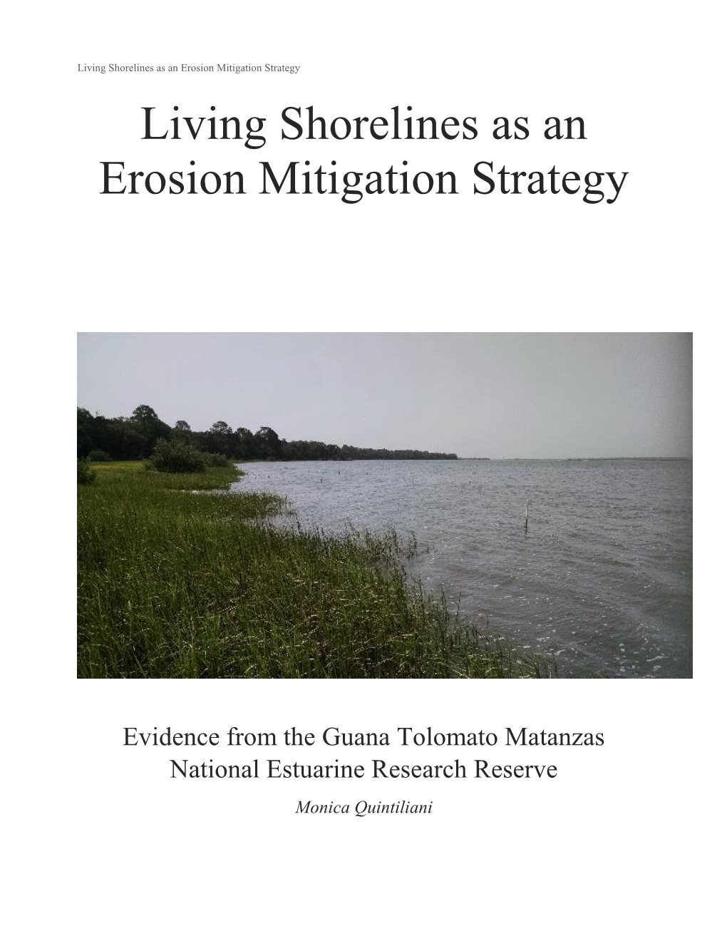 Living Shorelines As an Erosion Mitigation Strategy