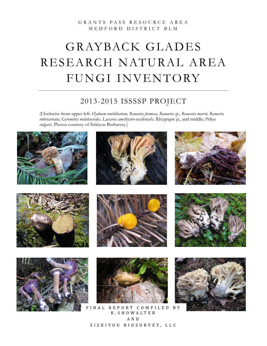 ISSSSP Grayback Glades Research Natural Area, Fungi Inventory