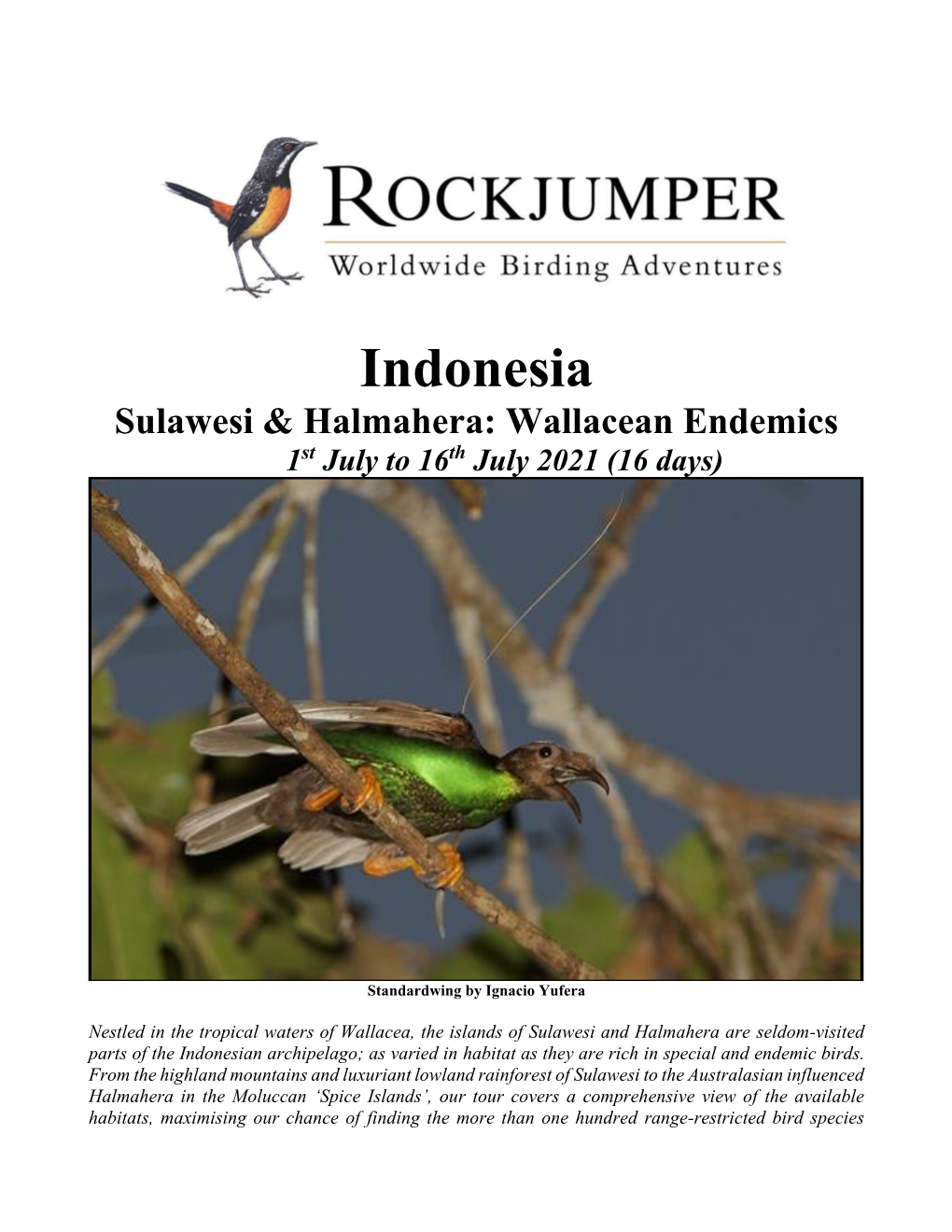 Indonesia Sulawesi & Halmahera: Wallacean Endemics 1St July to 16Th July 2021 (16 Days)