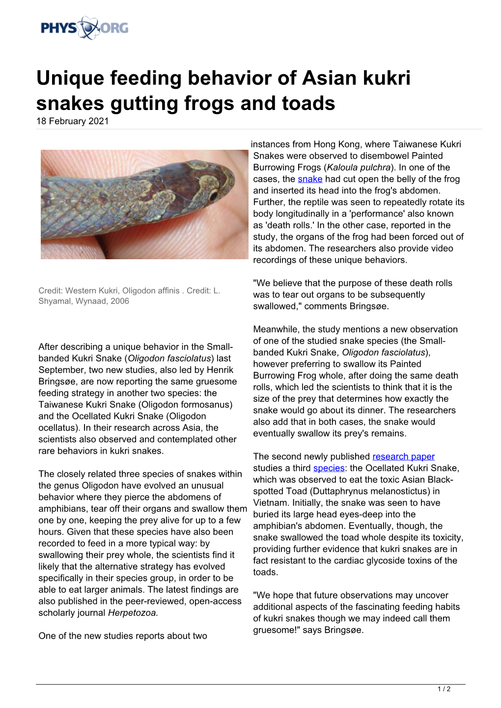 Unique Feeding Behavior of Asian Kukri Snakes Gutting Frogs and Toads 18 February 2021