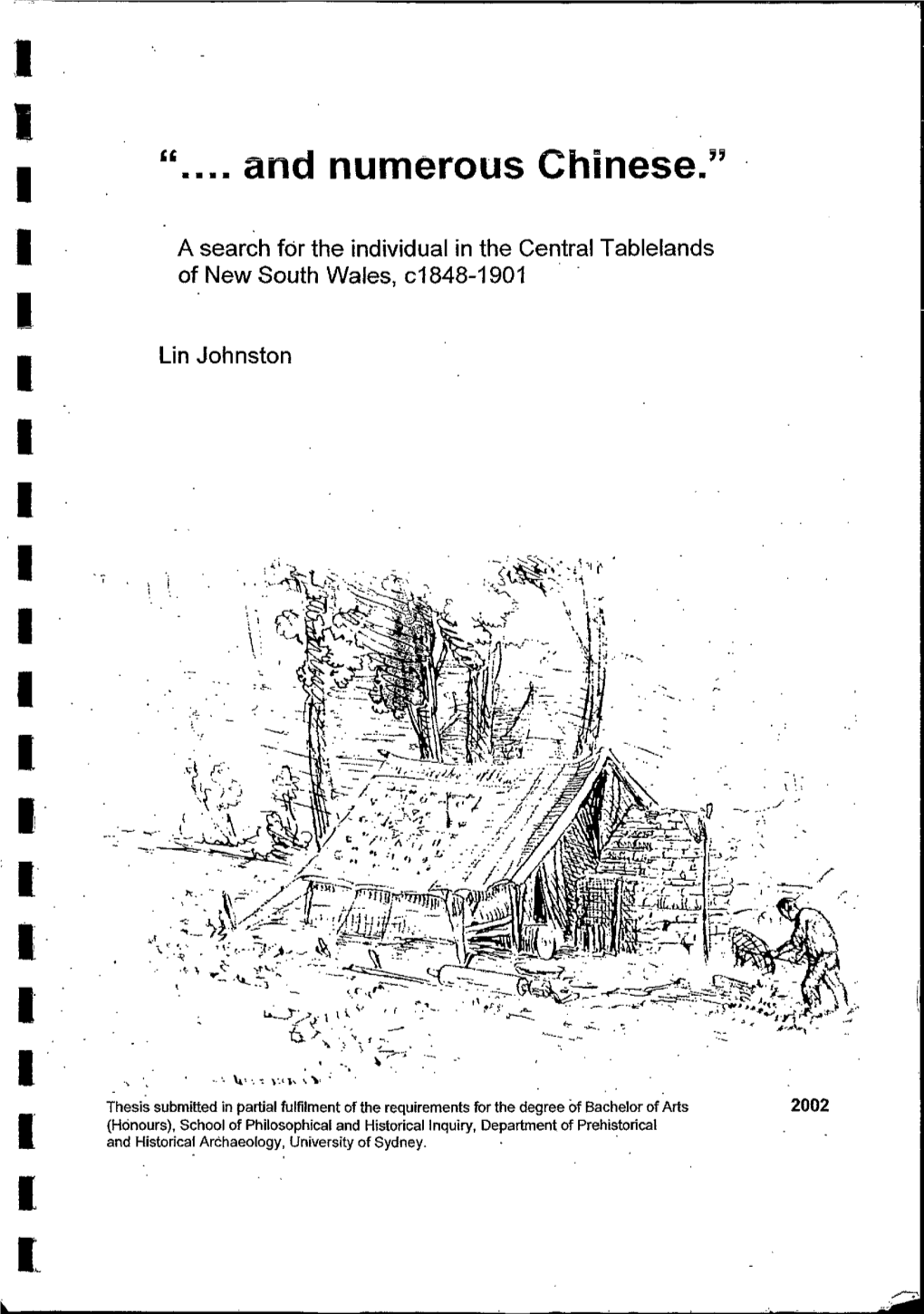 And Numerous Chinese." I a Search for the Individual in the Central Tablelands of New South Wales, C1848-1901 I I Un Johnston I I I