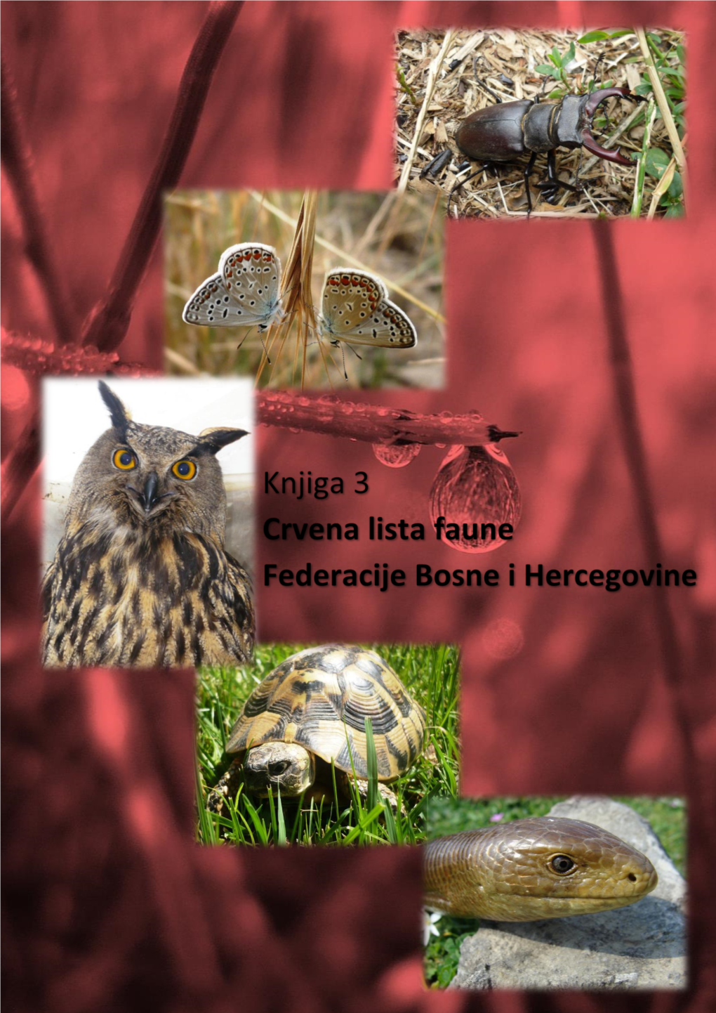 Crvena Lista Faune Fbih