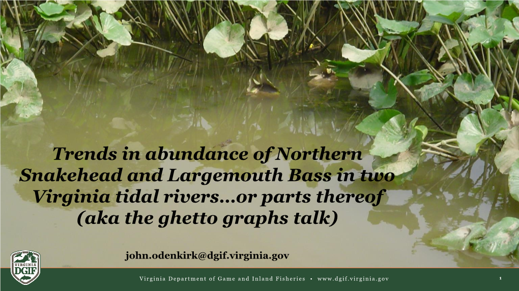 Trends in Abundance of Northern Snakehead and Largemouth Bass in Two Virginia Tidal Rivers…Or Parts Thereof (Aka the Ghetto Graphs Talk)