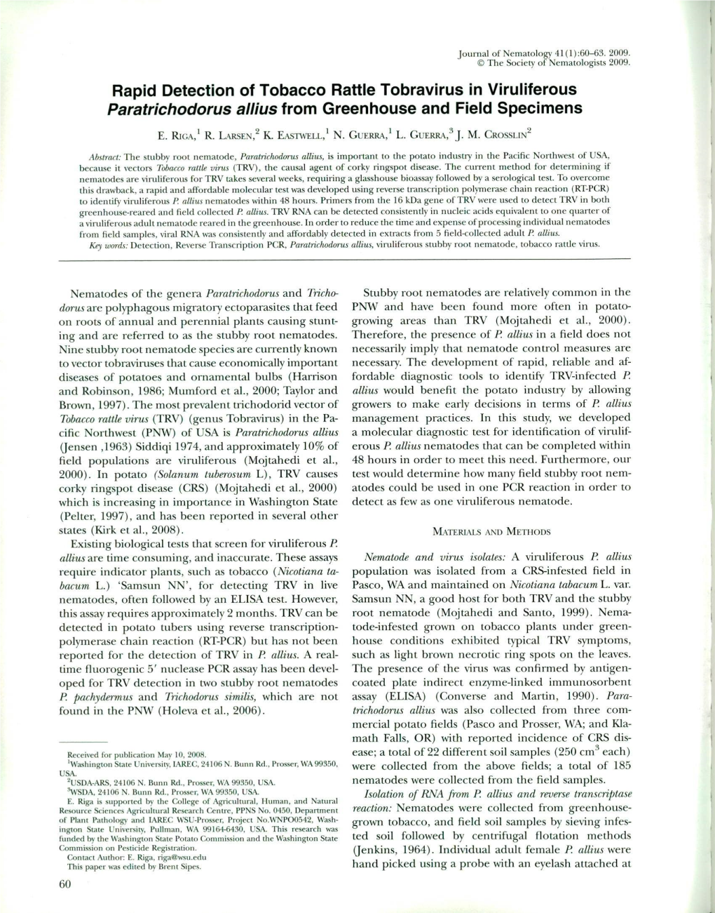 Rapid Detection of Tobacco Rattle Tobravirus in Viruliferous Paratrichodorus Allius from Greenhouse and Field Specimens