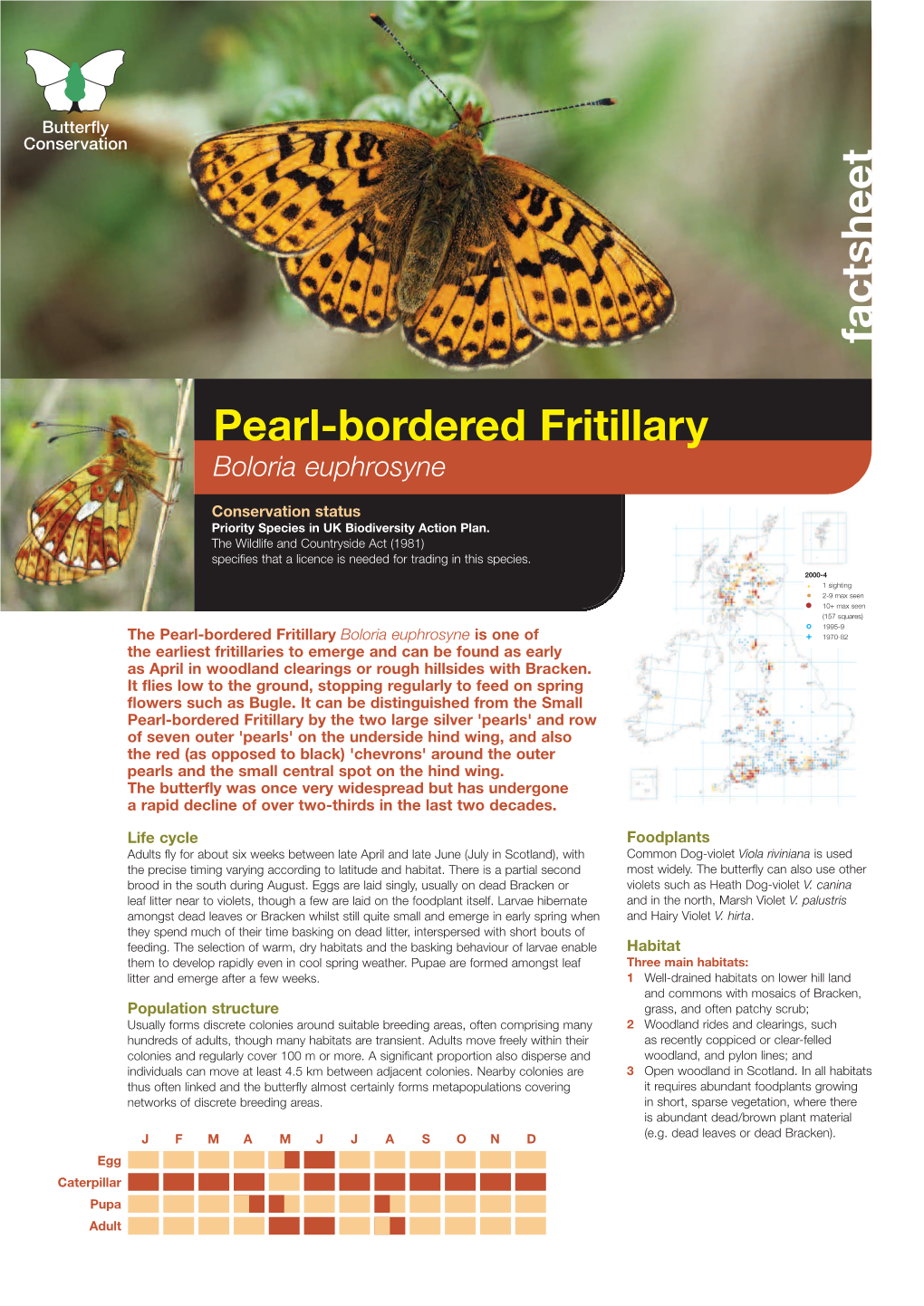 Pearl-Bordered Fritillary Boloria Euphrosyne